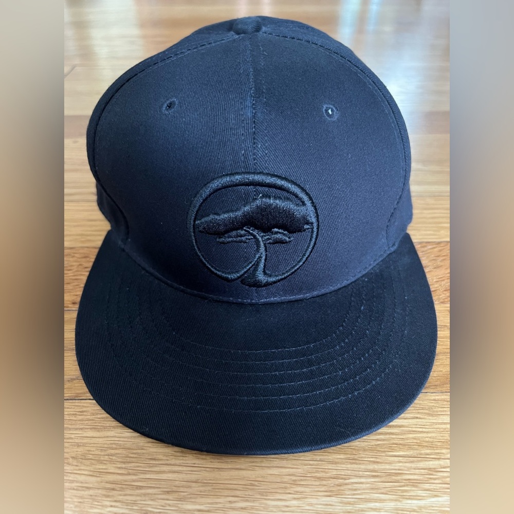 ARBOR COLLECTIVE BLACK VINTAGE CAP NWT